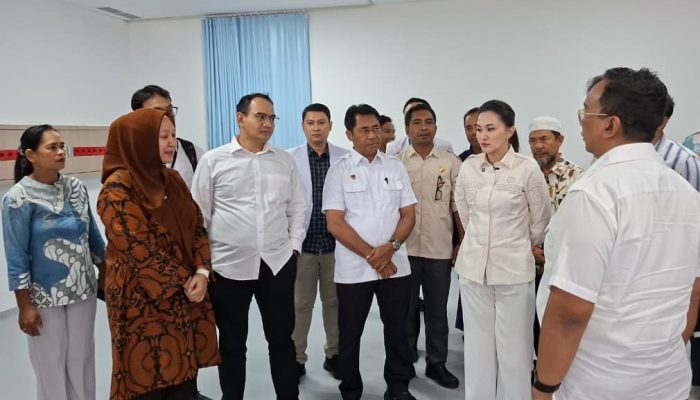 Jelang Peresmian, Menkes Budi Gunadi Tinjau Kesiapan RSUD Maba