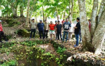 TKD Menyusut, Tidore Putar Haluan: Pariwisata Disiapkan Jadi Tulang Punggung PAD